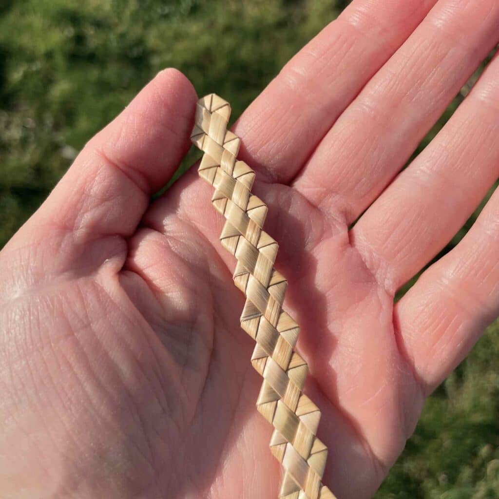 Rustic (Tyrolean) Plait